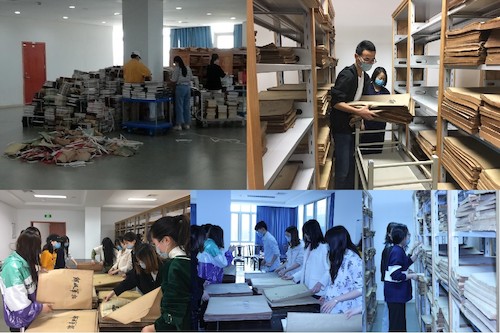 图6：蜜桃视频
学生支部进行图书馆历史资料整理劳动教育实践课活动